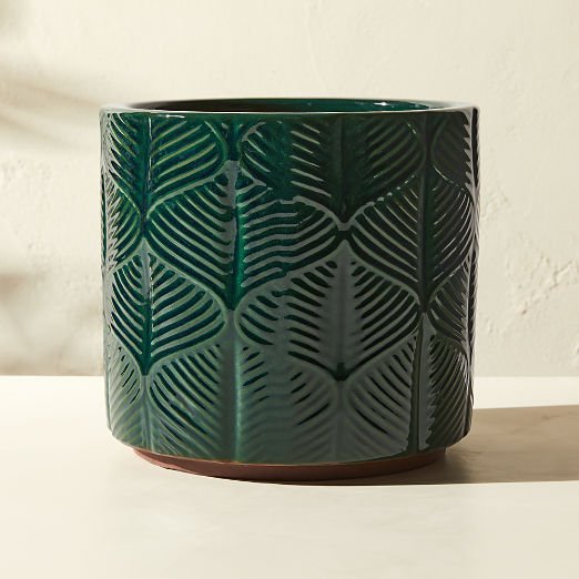Cova Pot