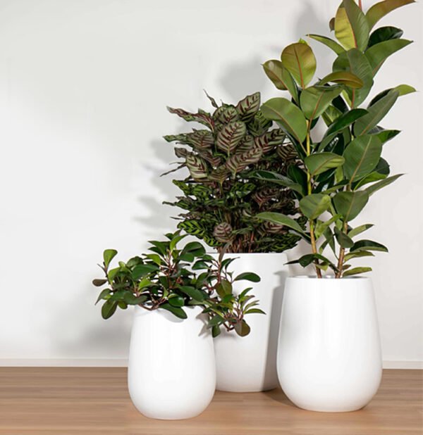 Slope pot