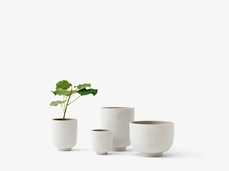 New Cup - Image 2