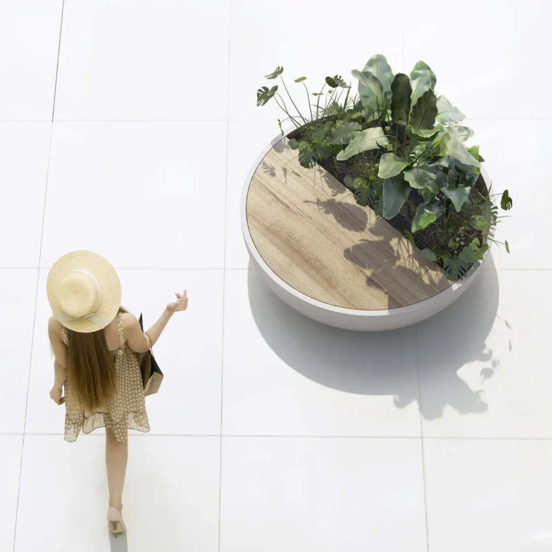 NewBowel - Image 2