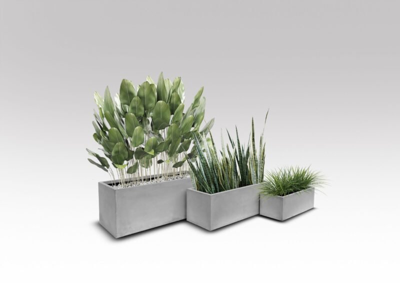 Classic Rectangle - Image 6