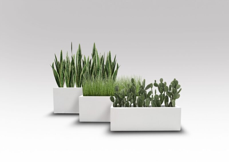 Classic Rectangle - Image 2