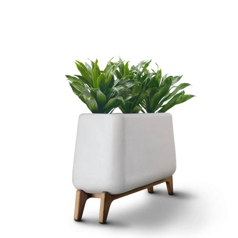 Cova Teakwood - Image 7