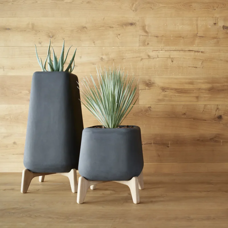 Cova Teakwood - Image 5