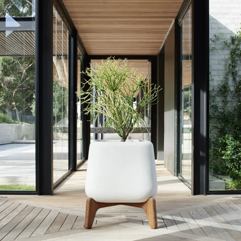 Cova Teakwood - Image 3