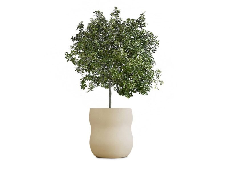 Unegular Shape - Image 3