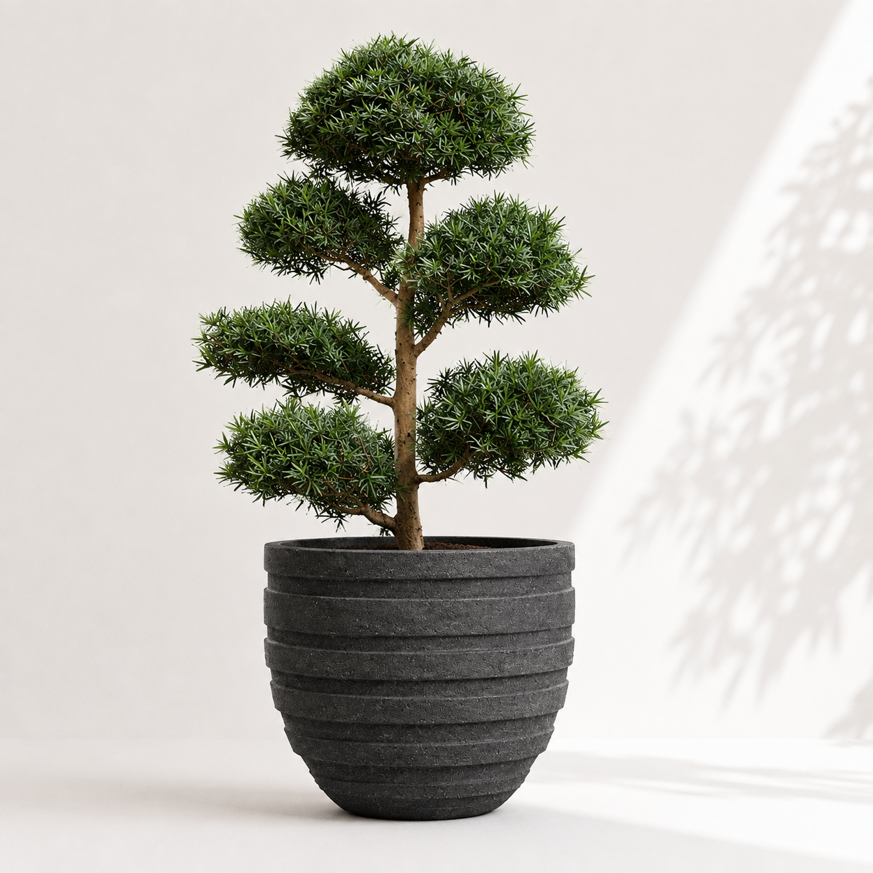 Round Layers Pot - الصورة 2