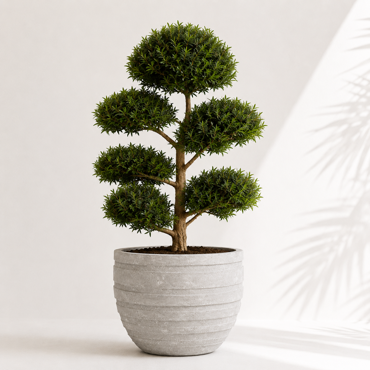 Round Layers Pot - الصورة 3