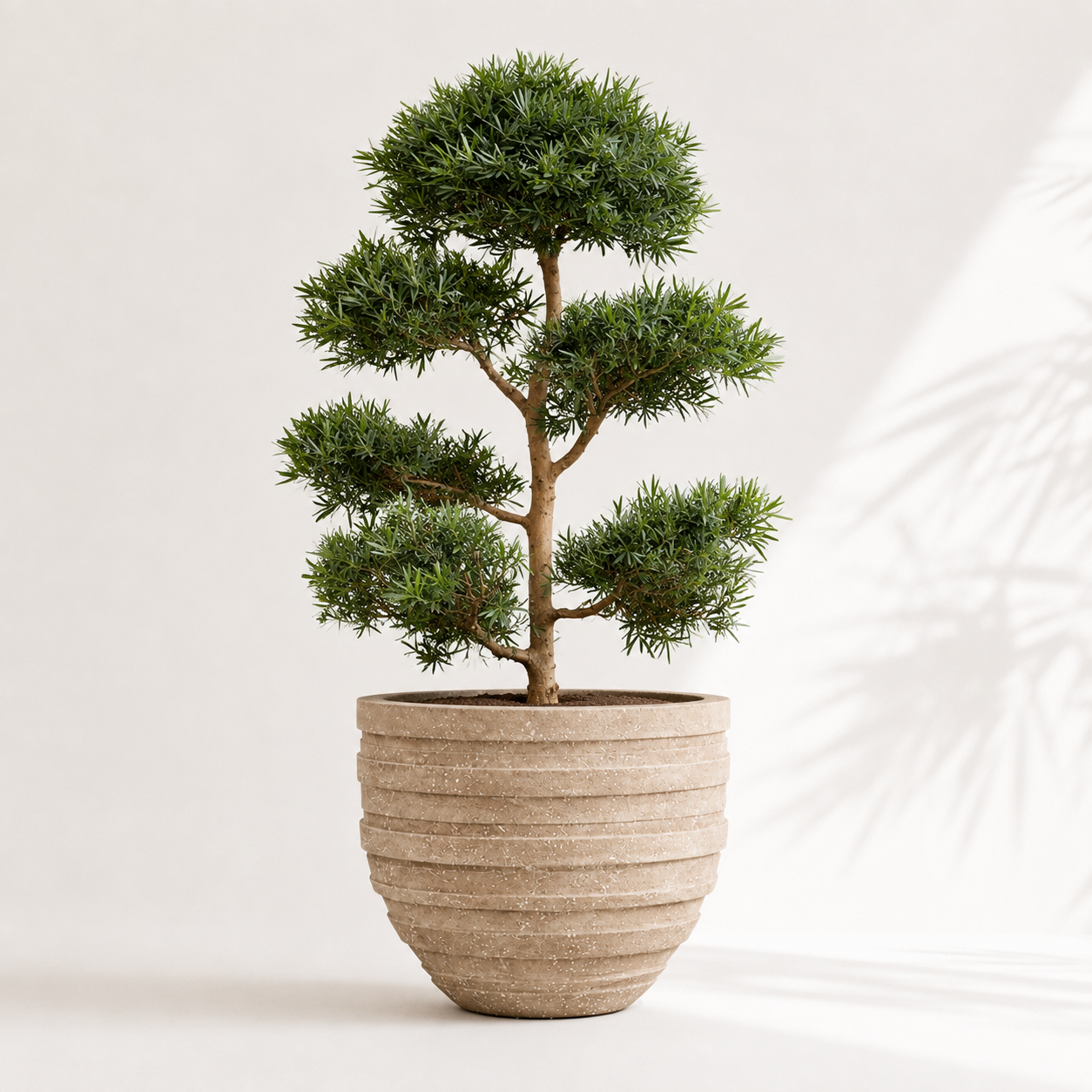 Round Layers Pot