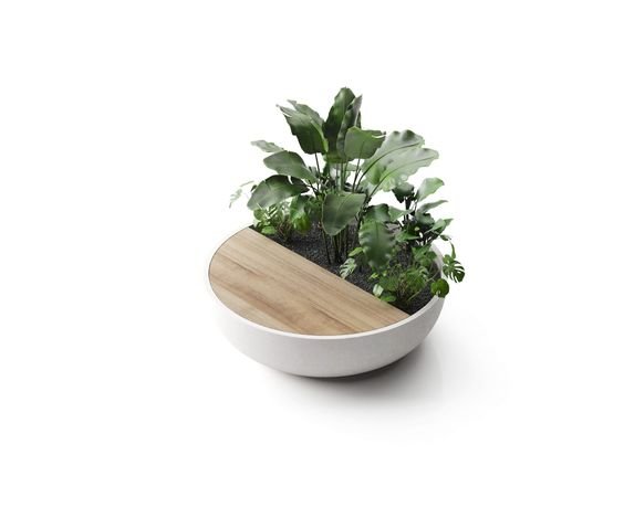 New Bowel Pot With Teakwood