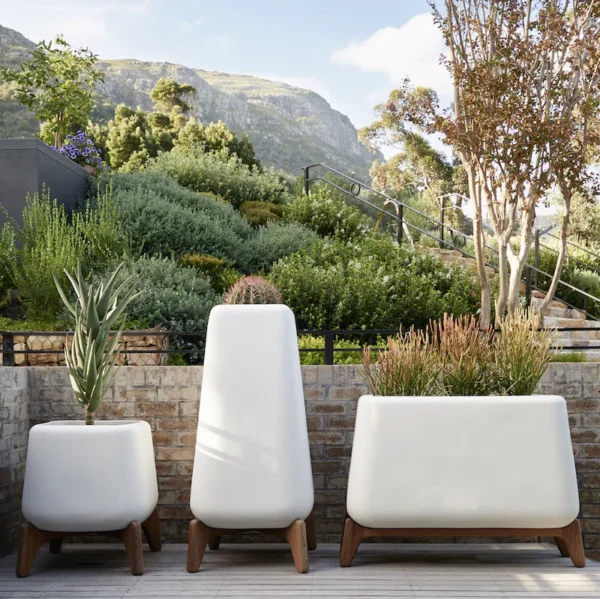 Cova Pot With Teakwood