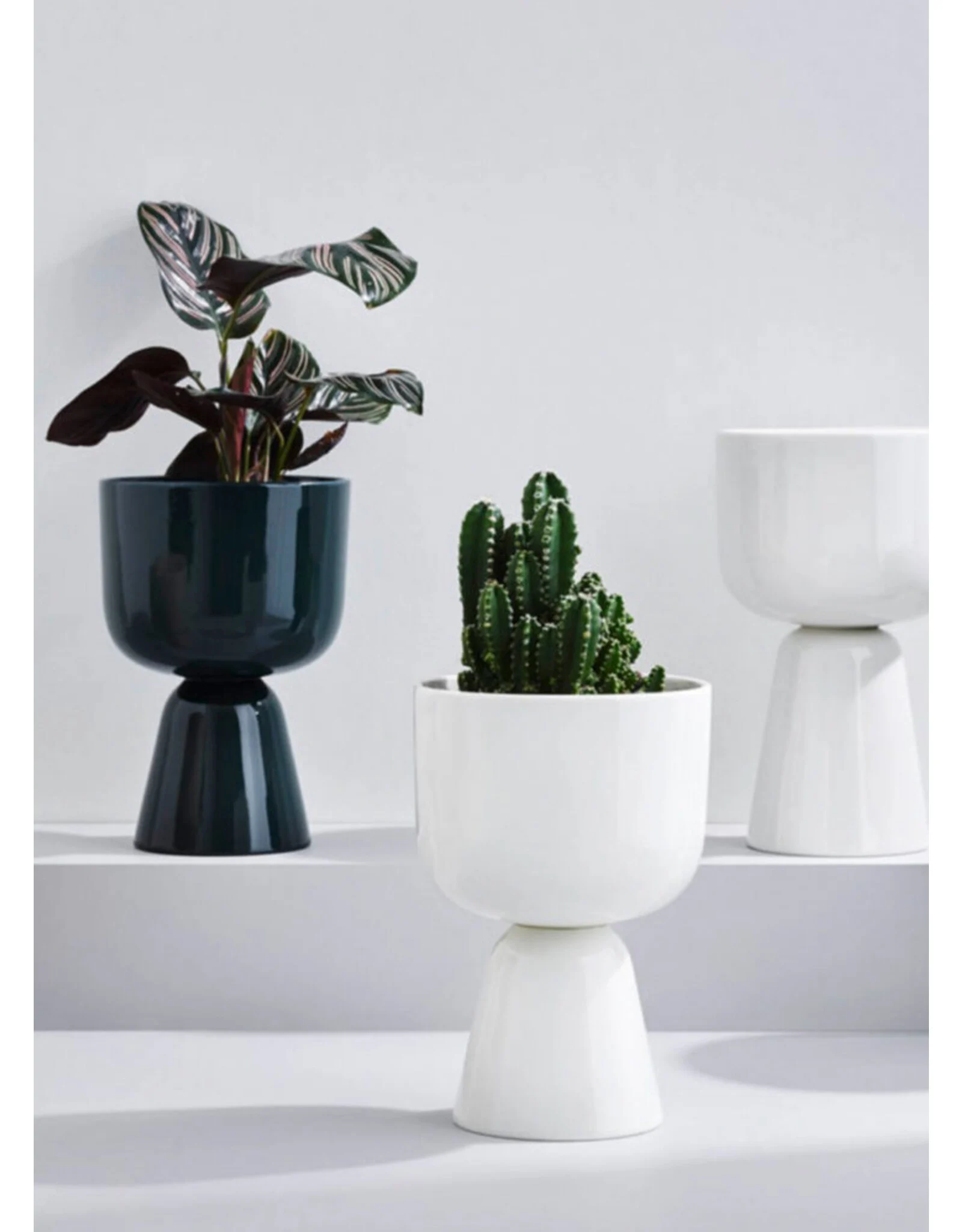 HUG Cup - الصورة 3