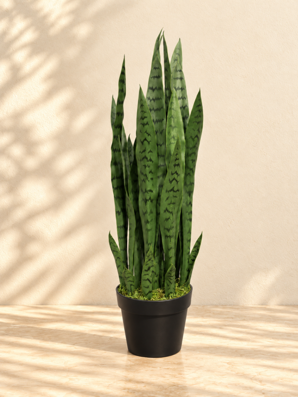 Artificial Black Sansevieria Plant