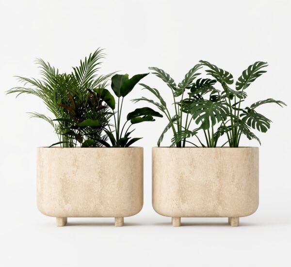 Grevia1 POT