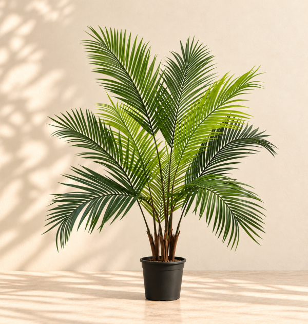 Artificial Areca Palm