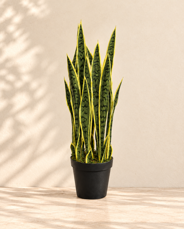 Artificial Sansevieria Plant