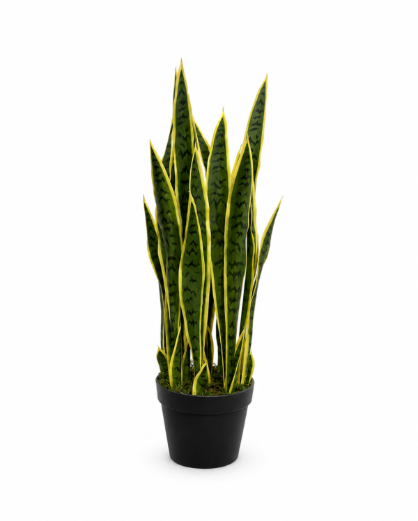 Artificial Sansevieria Plant