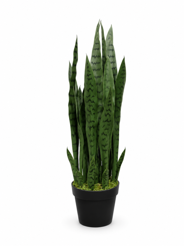 Artificial Black Sansevieria Plant