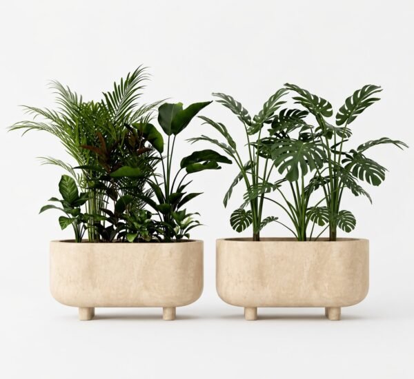 Grevia 2 POT