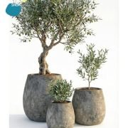 29e075a6-8295-4fc5-9c12-18d240005417