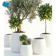 3cc8a759-d979-4dbe-a81c-3b760010ce91