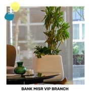 b768cbfd-b35f-46bc-8adf-acf9713ecfe4 (1)